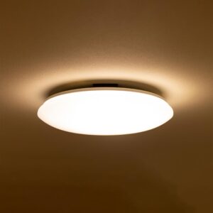Plafonnier Sur Mesure Blanc Chaud Diffusant
