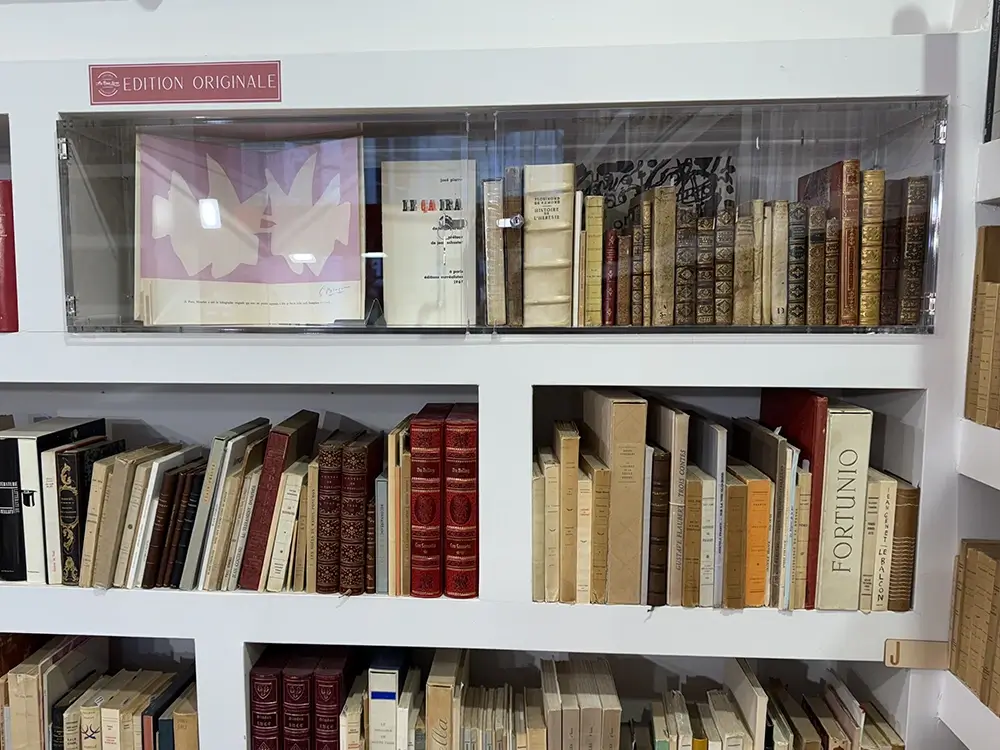 Fabrication d'une vitrine de librairie sur Mesure en Plexiglass 4 Vitrine de librairie
