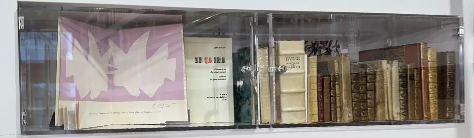 Fabrication d'une vitrine de librairie sur Mesure en Plexiglass 5 Vitrine librairie sur mesure